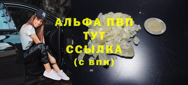 СК Аркадак