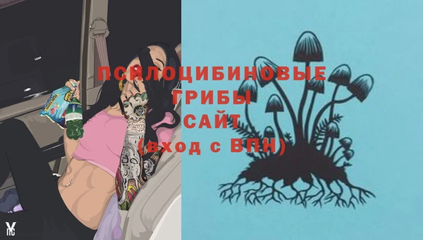 СК Аркадак