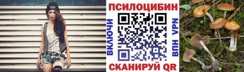 Купить где  Байкальск  Псилоцибиновые грибы Psilocybine cubensis 