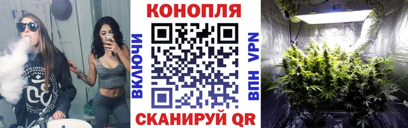 Бошки марихуана Amnesia Байкальск